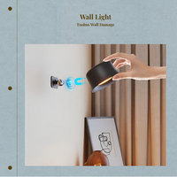 Rechargeable LED Wall Sconce