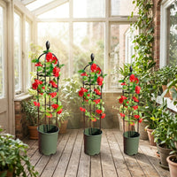 Garden Trellis for Climbing Plants with Heavy Duty Metal Plant Support, Cylindrical Garden Obelisk with 3 Rings, Clematis Support Decoration