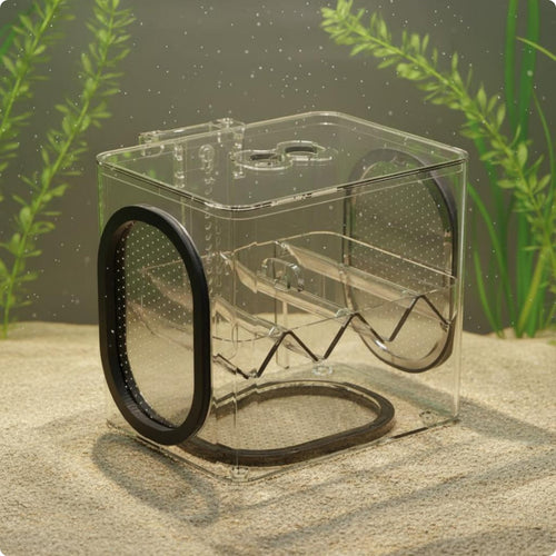 Aquatic Breeding Box Isolation Aquatic Hatchery Easy to Clean