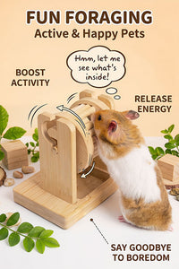 DIY Hamster Foraging Toy Wooden Interactive Feeder for All Seasons
