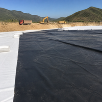 Heavy Duty Pond Liner for Aquaculture, 0.2mm HDPE Geomembrane for Farmers Australia, Leakproof SUNLIGHT-RESISTANT Black