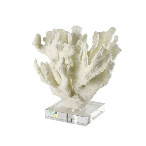 Coral Sculpture with Acrylic Base Textured Coral Sculpture Ocean-Themed