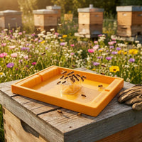 Square Bee Feeder Colony Enclosure Feeder Large Capacity Livestock Supply for Apiary