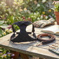 Cat Walking Harness and Leash Set, Strap Design with Patterned Style, No Pull Outdoor Cat Walking Leash for Easy Control