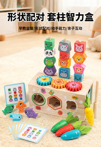 Wooden Animal Shape Sorting Toy with Fruit Matching and Fishing Game