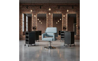 Swivel Salon Chair Stainless Steel Base Hydraulic Styling Chair Dense-Foam Foam Adjustable Barber Seat for Hair Stylists, Barbershop, Beauty Spa