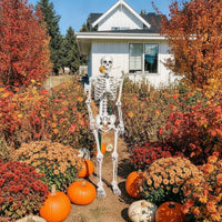 Articulated Skeleton with Movable Joints Halloween Poseable Skeleton Full Body Prop Bendable for Haunted House, Yard