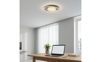 Full-Spectrum Flush Mount Ceiling Light Bright LED Ceiling Light Flicker-Flickerless Fixture Easy Installation for Study Room