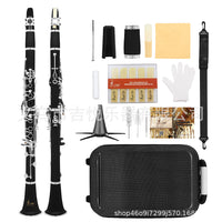 SLADE Bb Clarinet 17 Keys Nickel Plated ABS with Case