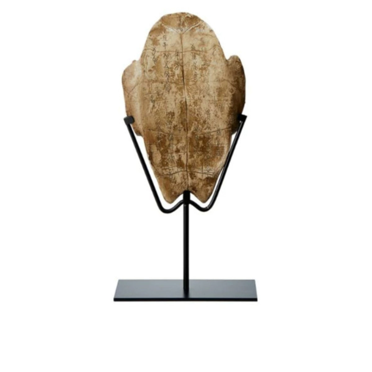 Turtle Shell on Stand Tabletop Oracle Bone Reproduction Aged for Study