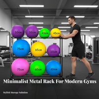 Space Saving Exercise Ball Storage Rack Stable Frame Exercise Ball Holder Heavy-Duty Steel Non-Slip