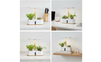 Countertop Hydroponic Planter with LED Grow Light Compact Hydroponic Planter Slimline Indoor Garden with Grow Light Transparent for Apartment Dwellers, Gardeners, Kitchen, Office, Windowsill
