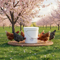 Gravity Fowl Feeder Kit Easy Installation Farm Livestock Supplies No Waste