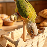 Wood Bird Perch Stand Safe Rocking Bird Perch Long-Lasting Stable for Parrots, Tabletop