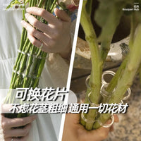 Universal Transparent Flower Arrangement Fixer with Spiral Base