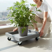 Square Planter Dolly Faux Cement Finish Rolling Plant Holder 360° Swivel Casters