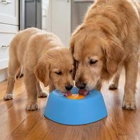 Dog Lick Bowl Interactive Design Licking Feeder Bowl Anti-Bloat