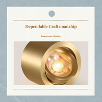 Brass Adjustable LED Spotlight