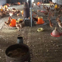 养殖炉加温保温木材烧草炉子煤炭取暖冬季烧柴火小鸡雏鸡大棚升温