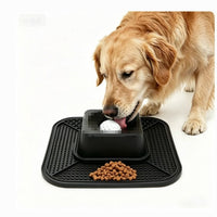 Anti-Slip Slow Feeder Bowl for Pets