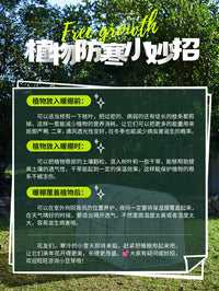花棚暖房棚阳台光花卉多肉蔬菜家用绿植物温室保温罩遮阳大棚支架 【长150x宽60x高55cm】暖棚（送透光保温膜+压膜扣）
