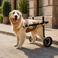 Pet Wheelchair Adjustable Frame Dog Mobility Vehicle Large Wheel Design