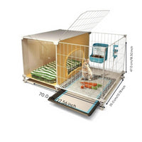 Leakproof guinea pig hutch