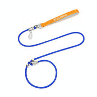Soft Lining Reinforced Stitching Leash with Metal Hardware Braided Rope