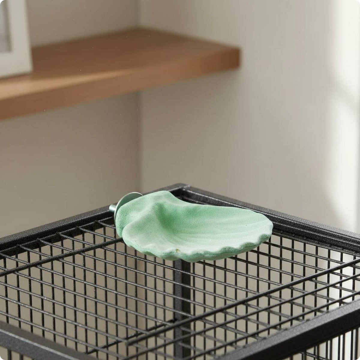 Shell-Shaped Bird Perch Washable Textured Bird Perch Easy to Clean