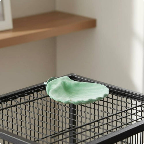 Shell-Shaped Bird Perch Washable Textured Bird Perch Non-Slip