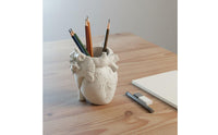 Realistic Heart Pen Holder Easy to Clean Organ Shaped Pen Cup Roomy Opening