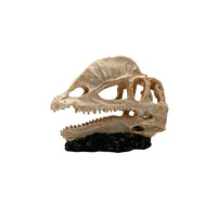 Skull Hideout Weathered Hiding Place Natural-Looking for Terrarium, Reptiles
