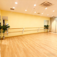 舞蹈把杆壁挂固定式专业单双层可升降压腿杆扶手舞蹈室练功房瑜伽