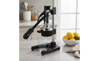 Easy to Clean Lever Action Juice Juicer Rustproof Commercial Grade Fruit Juicer for Bar