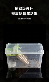 Cricket Feeding Box with Climbing Frame for Reptiles, Escape-Proof, Plastic
