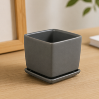 Ceramic Square Planter Matte Finish For Succulents Indoor With Saucer Simple Stylish