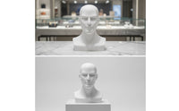 Male Mannequin Head with Shoulders Realistic Mannequin Head with Shoulders Matte for Shop Display, Window Decoration, Salon
