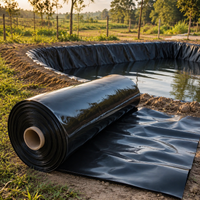 Waterproof Canvas Tarp, Heavy-Duty Waterproof Sheet, 10m Thick Blue Sheet, for Garden, Pond