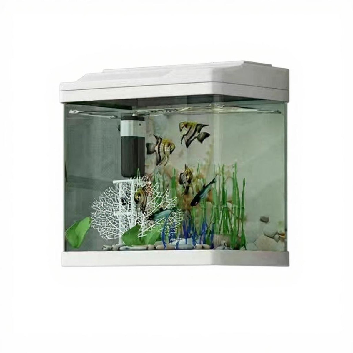 Glass Fish Habitat Set with Filtration and Lighting