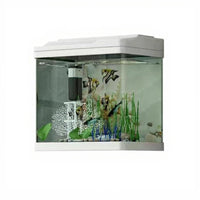 Glass Fish Habitat Set with Filtration and Lighting