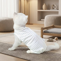 Cat Recovery Suit with Short Sleeves, Pullover Post-Surgery Wear for Anti Licking, Four-Leg Cat Surgery Recovery Suit in a Casual Unisex Style
