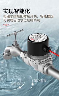 304 Stainless Steel Solenoid Water Valve