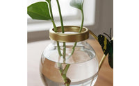 Water-Based Glass Vase Minimalist Design Wrought Iron Glass Planter Visible Underground Part Growth Tabletop Water-Based Vase for Beginners