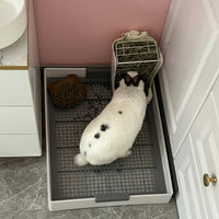 High Sided Litter Tray, Small Pet Litter Tray, Modular Small Pet Litter Box with Splash Guard, Removable Mesh Floor for Easy Cleaning