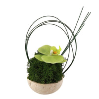 Artificial Orchid in Planter Sculptural Faux Plant with Stone Look Pot Compact