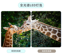 护眼阅读台灯床头灯全光谱卧室简约装饰结婚儿童桌面房间主卧宿舍 按钮开关 国内扁插 绿色【5W三色/全光谱】