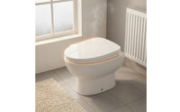 Adjustable Temperature Electric Bidet Seat Self-Cleaning Nozzle Warm Water Bidet Seat Posterior Cleansing Bathroom Fixture
