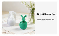 Easter Bunny Candle Form Reusable 3D Bunny Candle Form Easy to Deform Crafting Supply for DIY Enthusiasts, Kids, Holiday Decoration, Gift Making
