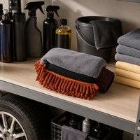car wash mitt