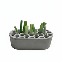 Green Onion Regrower Regrow Herbs Kitchen Gadget Easy to Use for Windowsill